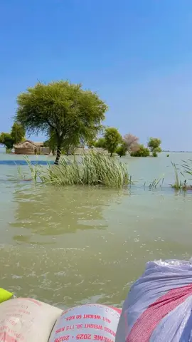 #foryoupage #indus #river#malikofficalCapCut #unfreezemyacount #unfreezemyacount 