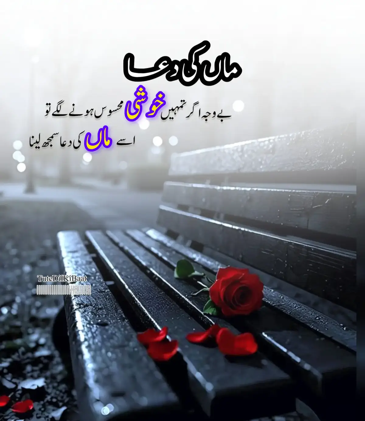 اگر زندگی میں کبھی تمہیں اچانک کوئی خوشی مل جائے، تو سمجھ لینا کہ یہ سب ماں کی دعا کا اثر ہے۔ ماں کی دعا ایسی طاقت ہے جو نظر نہیں آتی مگر دل کی گہرائیوں تک سکون پہنچا دیتی ہے۔ دنیا کی ہر کامیابی کے پیچھے اگر کوئی خاموش سہارا ہوتا ہے تو وہ ماں کے لبوں پر مانگی گئی دعائیں ہیں۔ جب اولاد مشکل میں ہو تو ماں کا دل سب سے پہلے بے چین ہوتا ہے، اور جب اولاد خوش ہو تو سب سے زیادہ مسکراہٹ ماں کے چہرے پر آتی ہے۔ ماں کا پیار ایک ایسا سایہ ہے جو تپتی دھوپ میں ٹھنڈی ہوا کی طرح سکون دیتا ہے۔ اس کی دعاؤں کا حصار اولاد کو ان خطرات سے بچاتا ہے جن کا تصور بھی ہم نہیں کر سکتے۔ خوشیاں، سکون، کامیابیاں، سب ماں کے لفظوں سے جڑی دعاؤں کے صدقے میں ہیں۔ اگر ہم اپنی کامیابیوں کا راز تلاش کریں تو جواب ہمیشہ ایک ہی ملتا ہے: ماں کی محبت اور اس کی بے لوث دعا۔ ماں کی دعا دراصل اللہ کی رحمت کا وہ دروازہ ہے جو کبھی بند نہیں ہوتا۔ #foryoupage❤️❤️ #trending #viral #fyp #maa 