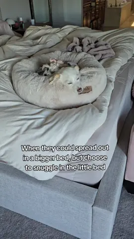 love watching their bond grow 