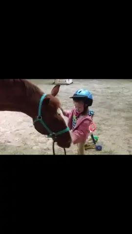 there is nothing like that first horse #nick 