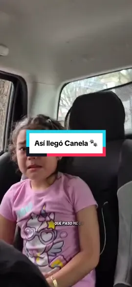Véanlo hasta el final 🐾 