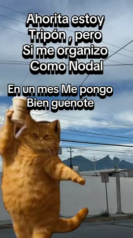 Así de simple solo me propongo y listo #gracias @Christian Nodal  #perromtz #depatayperro #paratiiiiiiiiiiiiiiiiiiiiiiiiiiiiiii 