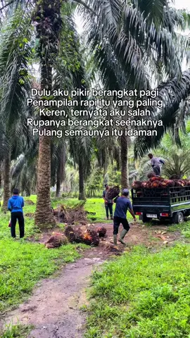 #petanisawit #sawitstory #sawitbalap #sawitjambi #sawittiktok #sawitsumatera #petanisukses #petanimilenial #sawitkalimantan #sawitontiktok #sawitnusantara #sawitriau #petanimuda #sawitstory🌴🌴🌴 #petanisawitsukses #sawitmalaysia #bismillahfyp #sawitsumatra #sawit 
