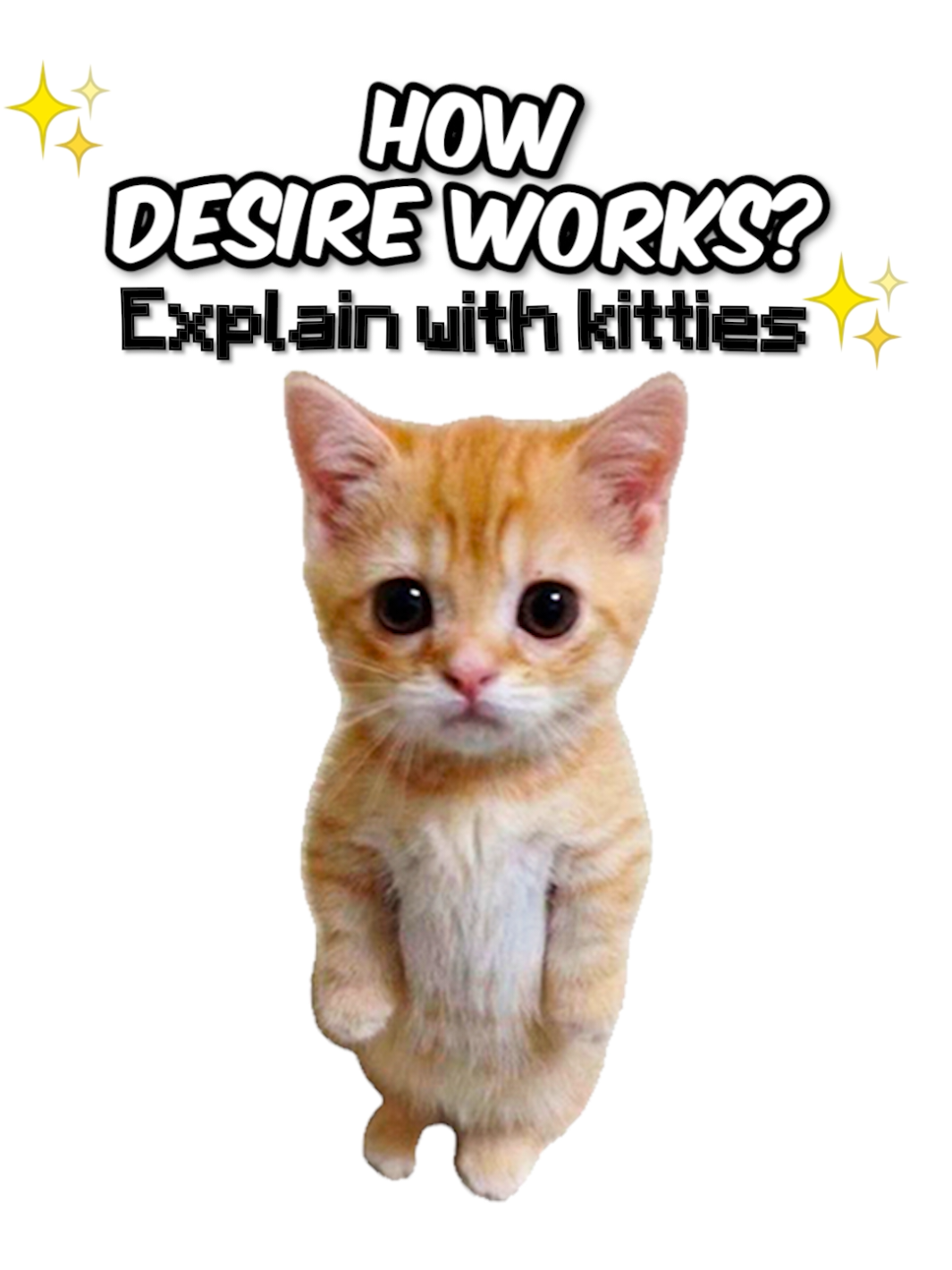 How Desire Works? Explain with Kitties. #cats #explain #kitties #kittyexplains #desire 