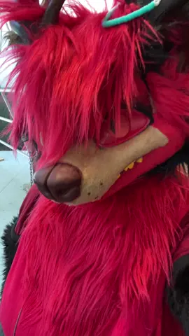 #alastor #furryconvention #alastorhazbinhotel #texasfurry #fyp 