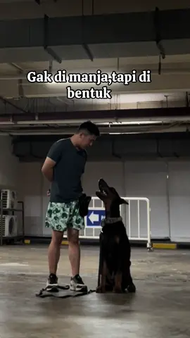 Tegas atau galak nih ? Menurut kalian gmna ?