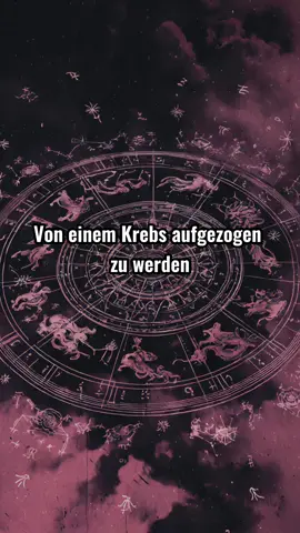 #sternzeinchen #fyp #krebs 