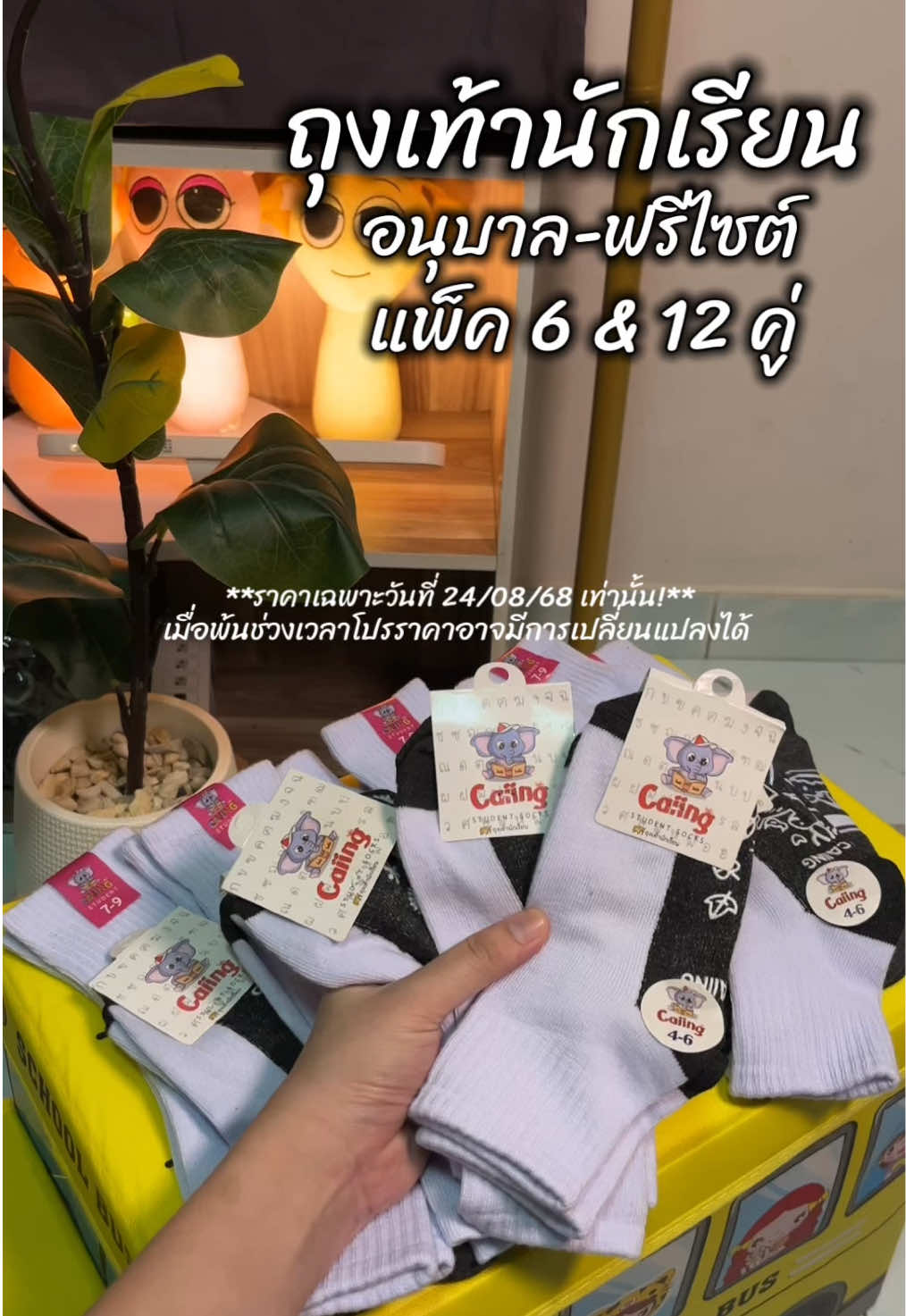 ถุงเท้านักเรียนแพ็ค 6 คู่ และ 12 คู่ จ้า @ของมันต้องหมวย  @ของมันต้องหมวย  @ของมันต้องหมวย #ถุงเท้านักเรียน #ถุงเท้านักเรียนกันลื่น #ถุงเท้านักเรียนยกโหล #ถุงเท้านักเรียนยกแพ็ค 