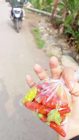 #fyppppppppppppppppppppppp 