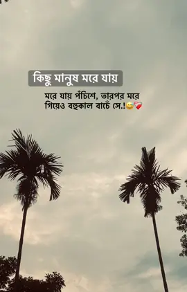 কিছু মানুষ মরে যায় মরে যায় পঁচিশে, তারপর মরে গিয়েও বহুকাল বাচেঁ সে😅❤️‍🩹@TikTok Bangladesh @For You #Bahmonbaria #bangladesh🇧🇩 