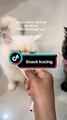 Snack creamy pawsitive vibes emang semurah itu 🤩 #snackkucing #snackcreamykucing #kucing 