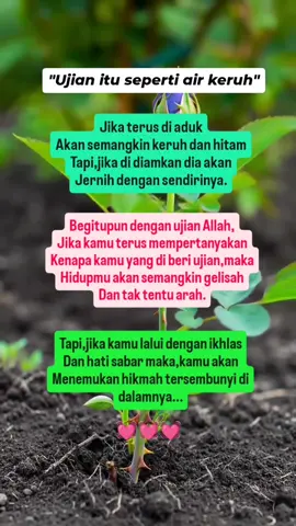 #katakatamotivasi  #katakata  #fypシ゚viraltiktok☆♡  #qoutesislami  #strorywa  #kehidupan  #motivation 