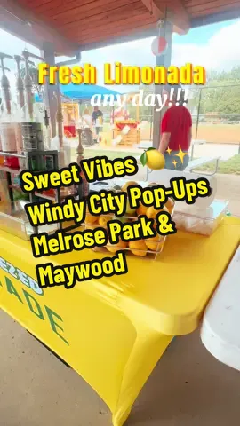 What a weekend! 💛 From fresh-squeezed lemonades to meeting amazing people 🫶—Windy City Limonada is bringing the flavor & the vibes everywhere we go! 🍋🌟 #WindyCityLimonada #LemonadeLove #SmallBizStrong #ChicagoEats #PopUpVibes