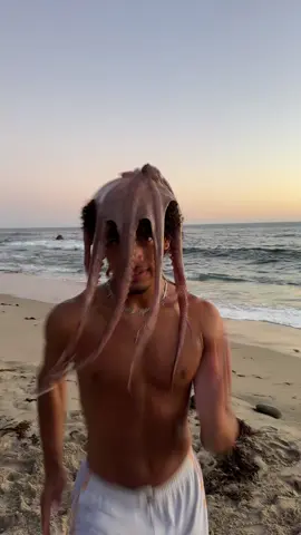 Found these twins at the beach 