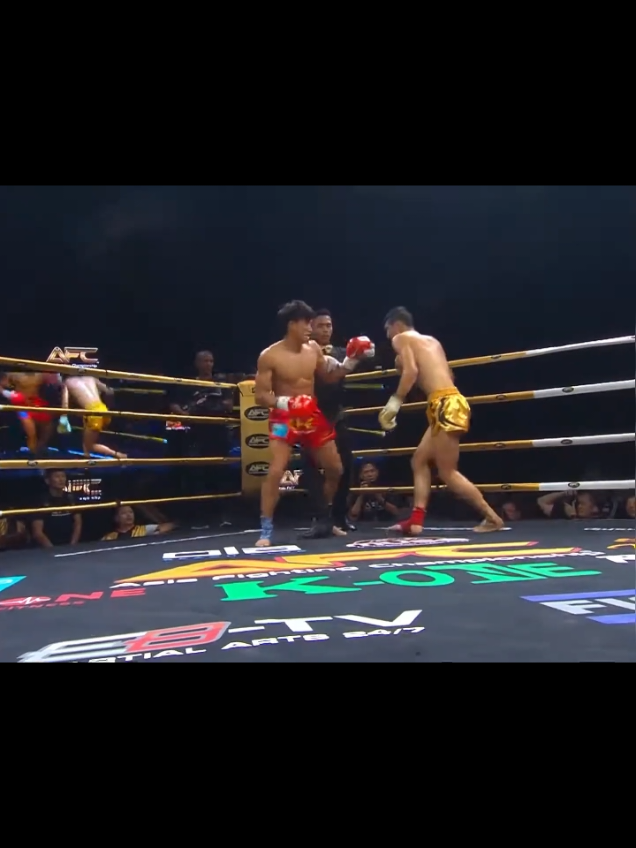 Đẳng cấp Duy Nhất #tranngocluong #Levantuan #mmavietnam #lionchamship 