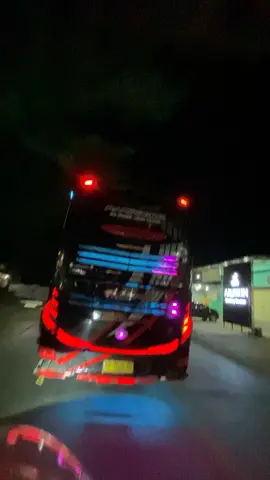 Kelinci Balapp