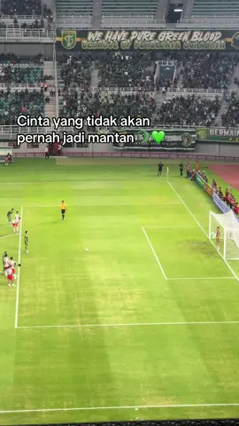 🐊💚 #persebaya #casual #persebayafans #fyppppppppppppppppppppppp #fypage 