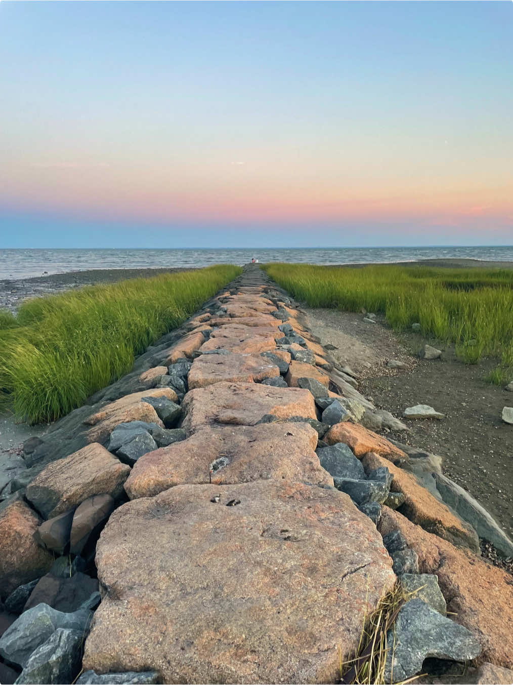 🦪🌊🦞 #fairfield #southport #connecticut #newengland #eastcoast 