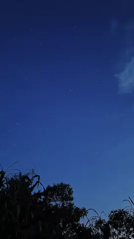 #CapCut #cielosbonitos #estrellas #vialactea #star 