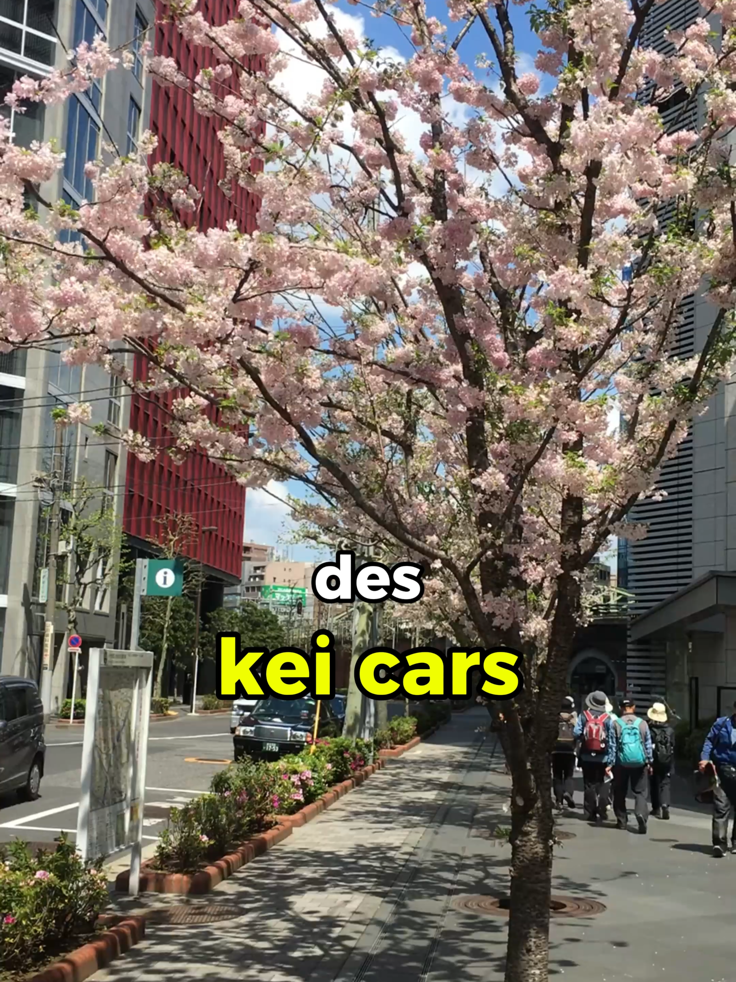 En vrai j'aime bien le concept mdr #automobile #japon #keicar
