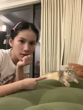 #cat #cutecat #funnycat #kitty #catsoftiktok 
