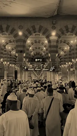 Rabi-Ul-Awal Mubarak Ho Sub Ko 🕌 | Rabi-Ul-Awal Special 💫 | Dear TikTok Please Viral My Video 🥺 . . . #foryoupage ##foryoupage #unfreeze #tiktokunfreezemyaccount #farahyousaf49 