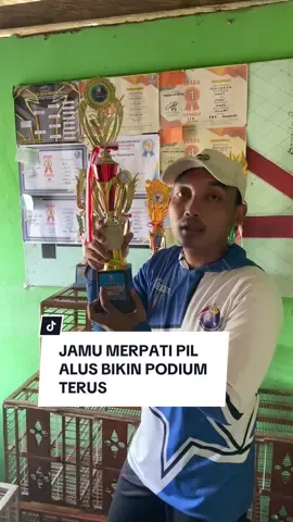 JAMU MERPATI PIL ALUS#merpatitinggi #merpatikolong #merpatiku #semuaorang #jamumerpati 