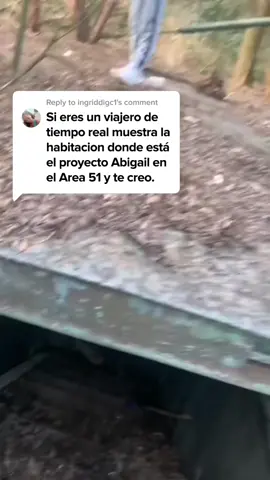 Proyecto Abigail #viajerodeltiempo #viajerosdeltiempo #conspiracion #conspiraciones #teoriasdeconspiracion 
