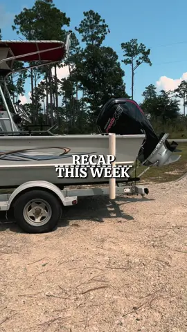 #gatorseason2025 #seminole #46tenproductions #newviewhunting #newview 