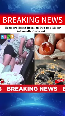 Eggs are Being Recalled Due to a Major Salmonella Outbreak…#foryou #news #eggs #viral #recall #greenscreen #fyp #breakingnews