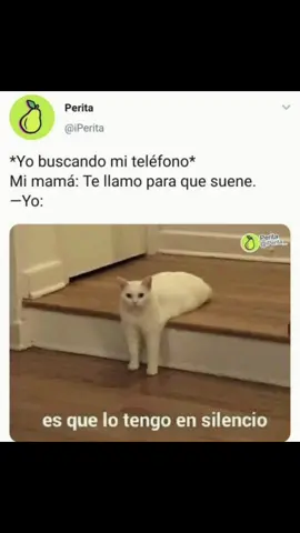 #yosiempre #telefonoensilencio #memedegatos #situacionesdelavida #memesespañol #gogogo #tiktokponemeenparatii 