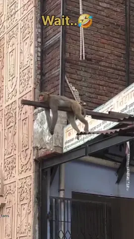 #terding #funnyvideos #viral #foryou 