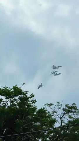 Khối diễu hành trên không bay qua quảng trường Ba Đình sáng 24/8/2025#su30mk2 #a80 