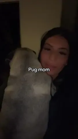 #puglife 