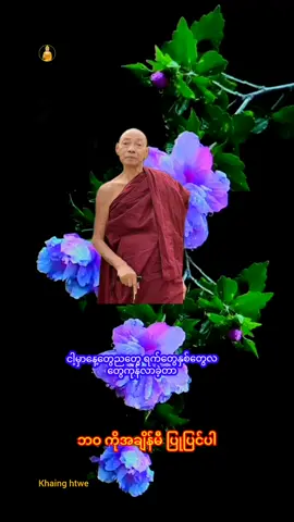 ဘဝကိုအချိန်မီပြုပြင်ပါ#ပါေမာကၡခ်ဳပ္ဆရာေတာ္ #viwes 