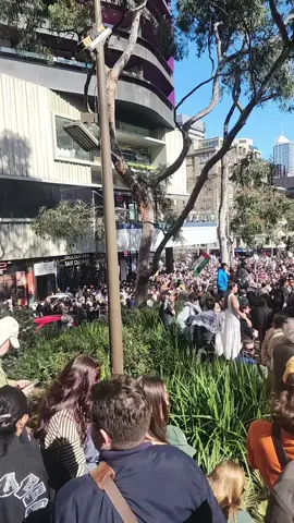 Melbourne Palestine Protest 24 August 2025