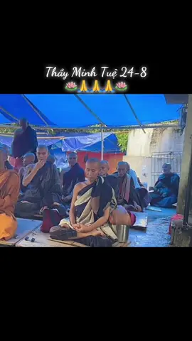 Thầy Minh Tuệ 24-8 #nammôđầuđàminhtuệphật #nguyễnhiếu01234 #thichminhtue #thichminhtuemoinhat 