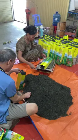 nâu lắm mới có mẻ chè móc câu ngon ạ, cô chú nào thích vị đậm đà chè mộc dân dã,giá tại xưởng nhanh tay đặt hàng ạ đang được trợ giá#hieuthamtra #tháinguyen20 