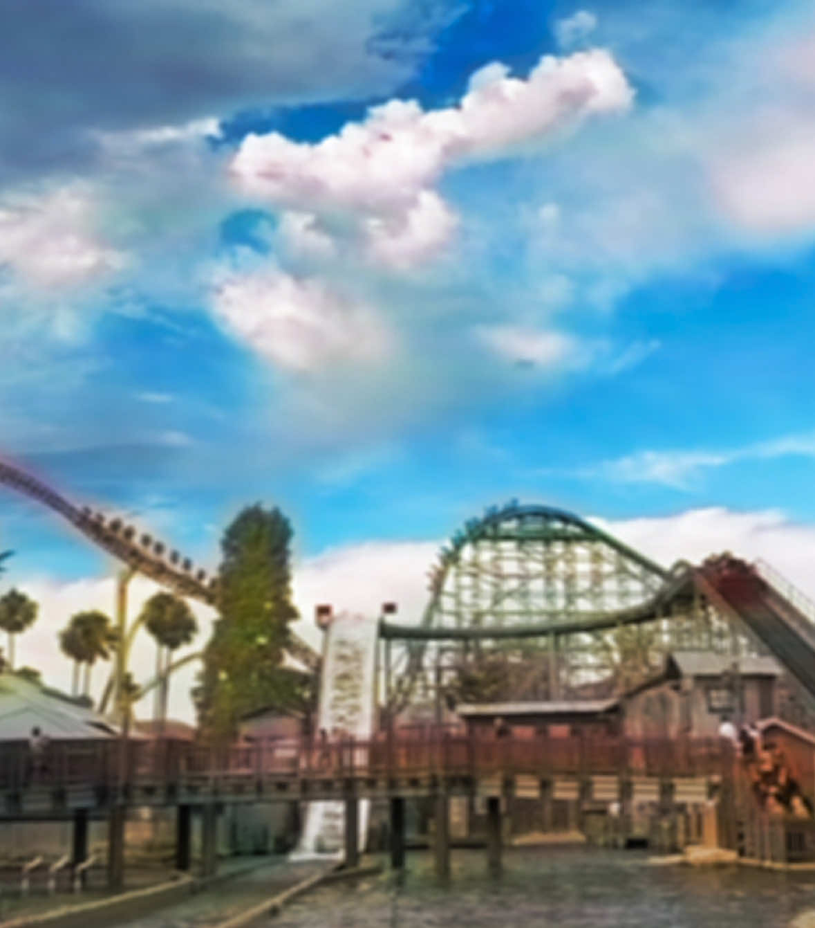 Rolercostr #vhs #didnotlag #rollercoastertiktok 