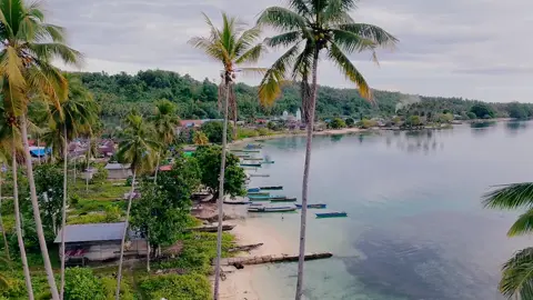 Suasana Pagi Hari di Desa Parigi #CapCut #fypシ゚ #viral #terbaik #trending @dinaspariwisatapu @Wonderful Indonesia @sashabilamus 