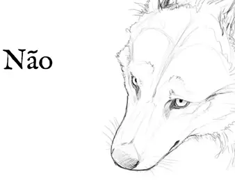 Eu mordo. #ilhadoscachorros #isleofdogs #fyyy #edit #fyyyyyyyyyyyyyyyy
