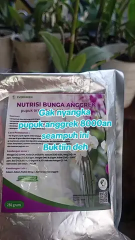 pupuk anggrek#pupuktanaman #anggrek #pesonaindonesia #orchids #tiktok 