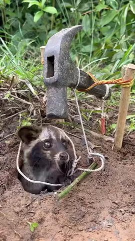 SMART idea and USEFUL With a hammer and a hammer #camping #survival #idea