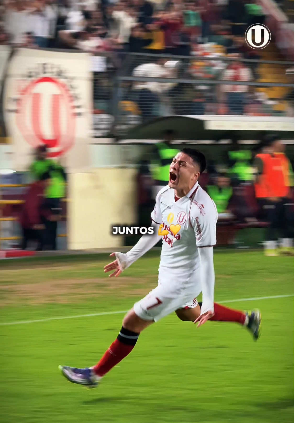 Juntos una vez más 👊💛 #Universitario #Peru #Futbol #LaGarraDelÚnicoGrande #SportsOnTikTok 