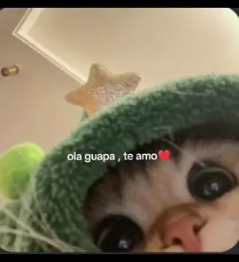 Te amo 🥺 #amor #novios #dedicar #gatitos #teamo 