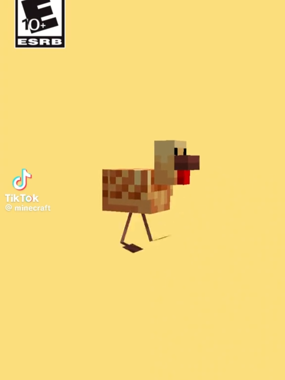 [aquele edit da galinha do Minecraft] #Minecraft #mcpe 
