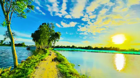 মানুষ কিছু জিনিসের মূল্য,ঠিক তখনি বুঝে যখন সেইটা সে হারিয়ে গেছে.....😅❤️‍🩹🌿#প্রকৃতি #sky #anfeezemyaccont #greenscreen #viral_video_tiktok 
