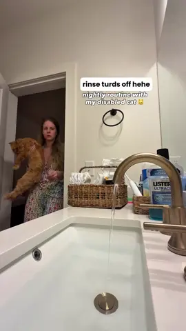 Bedtime routine with cappy. This was Cappy's second day without needing pain medicine after his dental procedure. Things are starting to get back to normal for him (and us!), and I couldn't be more thrilled. I finally had a proper night's sleep last evening 🩵 fingers crossed for another