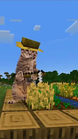 #Minecraft Cat Villagers Dejavu #mc #felixmc #MineCraft 