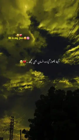 اوئے   🥀🥹#aesthetic #poetry #poetrystatus #grow #account #foryoupage #1million #rehan_vibes4 